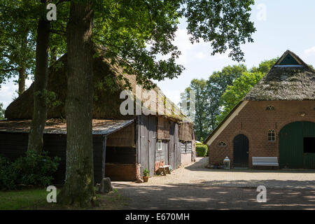 Tradizionale sassone originale fattoria con il tetto di paglia e da un fienile in Gees (provincia di Drenthe) nei Paesi Bassi Foto Stock