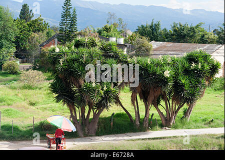 Vista sulla campagna a fianco di strada in città Fusagasuga in Colombia, Sud America. Foto Stock