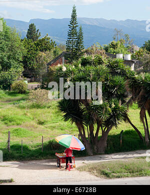 Vista sulla campagna a fianco di strada in città Fusagasuga in Colombia, Sud America. Foto Stock