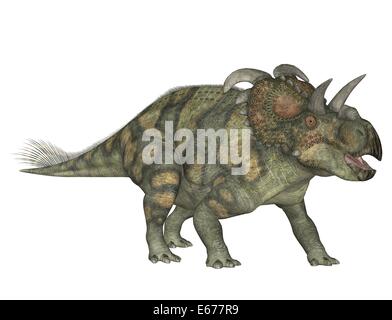 Dinosaurier Albertaceratops / Albertaceratops dinosauro Foto Stock