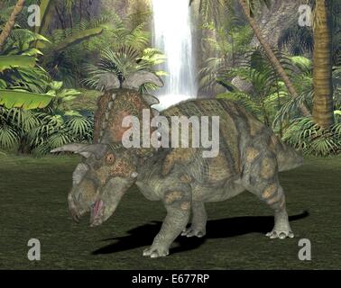 Dinosaurier Albertaceratops / Albertaceratops dinosauro Foto Stock