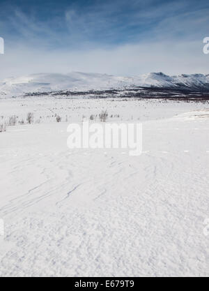 In inverno il paesaggio di montagna. Huldraheimen, Gausdal Westfjel, Norvegia. Foto Stock