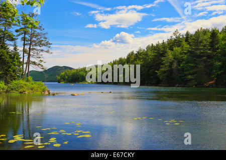 Eagle Lake Carrello Loop Road, Eagle Lake, il Parco Nazionale di Acadia, Maine, Stati Uniti d'America Foto Stock