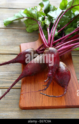 Rosso fresco radici di barbabietola, cibo closeup Foto Stock