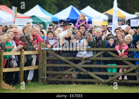 Buckham Fair, Beaminster, Dorset, Regno Unito. Il 17 agosto 2014. Martin Clunes orologi il pesante Clydsdale cavalli a Buckham Fair Pony e Dog Show sul suo Dorset farm. Martin e Philippa Clunes ha iniziato la fiera nel 2008 per raccogliere fondi per le associazioni di beneficenza locali. Essa ha sviluppato nel corso degli anni e ora include un pesante horse show, veicoli vintage e giostre in aggiunta al cane originale e Pony Show. Finora la fiera ha raccolto oltre £112.000 nel corso degli anni per gli enti locali le buone cause. Credito: Tom Corban/Alamy Live News Foto Stock