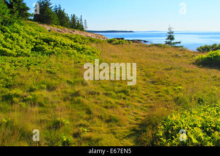 Mirtillo Hill, Schoodic Peninsula, Parco Nazionale di Acadia, Maine, Stati Uniti d'America Foto Stock