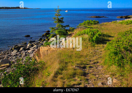 Mirtillo Hill, Schoodic Peninsula, Parco Nazionale di Acadia, Maine, Stati Uniti d'America Foto Stock