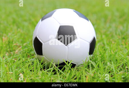 Piccolo in bianco e nero palla giacente sull'erba verde, pallone da calcio in erba Foto Stock