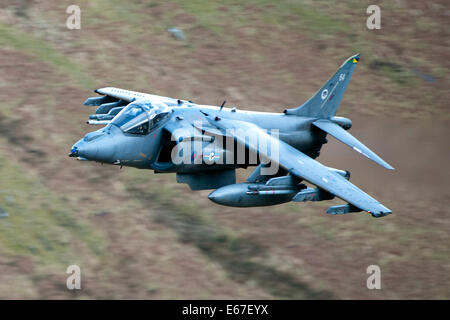 Nel servizio di RAF, Harriers sono utilizzati in attacco al suolo e ricognizione dei ruoli. A differenza del Harrier AV8B+ upgrade, la RAF hanno Foto Stock