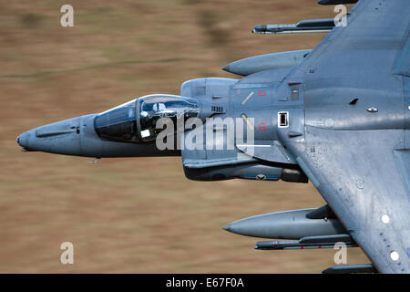 Nel servizio di RAF, Harriers sono utilizzati in attacco al suolo e ricognizione dei ruoli. A differenza del Harrier AV8B+ upgrade, la RAF hanno Foto Stock
