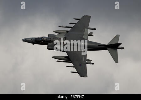 Nel servizio di RAF, Harriers sono utilizzati in attacco al suolo e ricognizione dei ruoli. A differenza del Harrier AV8B+ upgrade, la RAF hanno Foto Stock