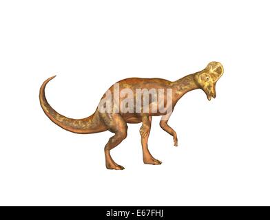 Dinosaurier Corythosaurus / Corythosaurus dinosauro Foto Stock