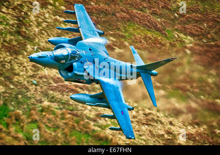 Nel servizio di RAF, Harriers sono utilizzati in attacco al suolo e ricognizione dei ruoli. A differenza del Harrier AV8B+ upgrade, la RAF hanno Foto Stock