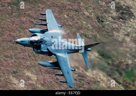 Nel servizio di RAF, Harriers sono utilizzati in attacco al suolo e ricognizione dei ruoli. A differenza del Harrier AV8B+ upgrade, la RAF hanno Foto Stock