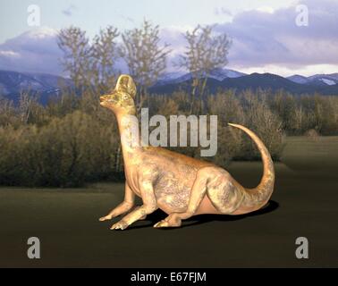 Dinosaurier Corythosaurus / Corythosaurus dinosauro Foto Stock