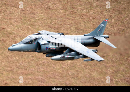Nel servizio di RAF, Harriers sono utilizzati in attacco al suolo e ricognizione dei ruoli. A differenza del Harrier AV8B+ upgrade, la RAF hanno Foto Stock