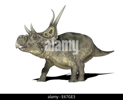 Dinosaurier Diabloceratops / Diabloceratops dinosauro Foto Stock