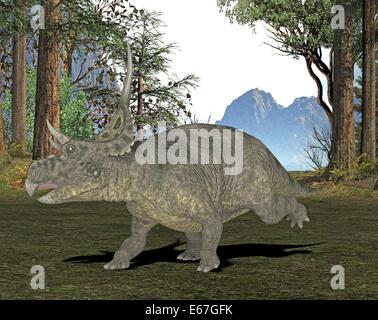 Dinosaurier Diabloceratops / Diabloceratops dinosauro Foto Stock