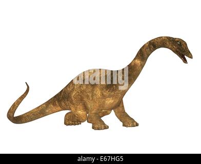 Dinosaurier Diplodocus / dinosauro Diplodocus Foto Stock