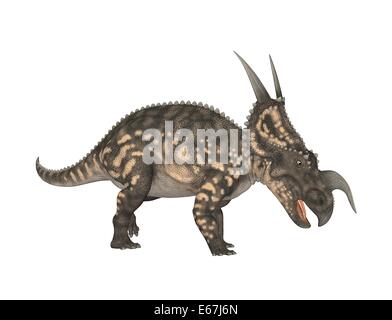 Dinosaurier Einiosaurus / Einiosaurus dinosauro Foto Stock