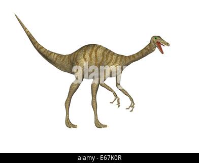 Gallimimus Dinosaurier / Gallimimus dinosauro Foto Stock