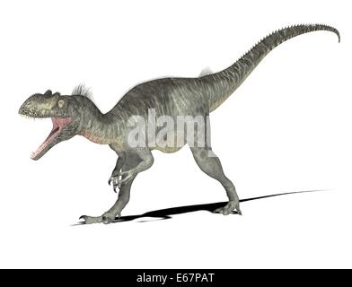 Dinosaurier Megalosaurus / Megalosaurus dinosauro Foto Stock