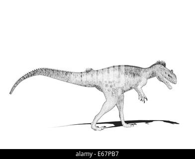 Dinosaurier Megalosaurus / Megalosaurus dinosauro Foto Stock