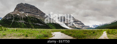 Scenic trekking in montagna viste, Berg Lago Trail, Monte Robson Parco Provinciale della Columbia britannica in Canada Foto Stock