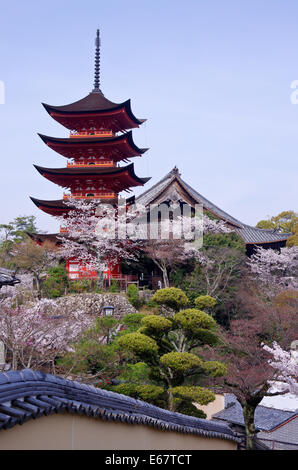 Gojunoto (Five-Story Pagoda) e Toyokuni Santuario circondato da fiori di ciliegio in Miyajima, Prefettura di Hiroshima, Giappone Foto Stock