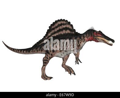 Dinosaurier Spinosaurus / Spinosaurus dinosauro Foto Stock