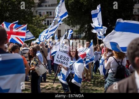 Brighton, Regno Unito. 17 Ago, 2014. E Pro-Palestinian Pro-Israelis scontro in Brighton 2014 Credit: Guy Corbishley/Alamy Live News Foto Stock