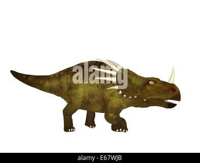 Dinosaurier Styracosaurus / Styracosaurus dinosauro Foto Stock