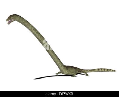 Dinosaurier Tanystropheus longobardicus / dinosaur Tanystropheus longobardicus Foto Stock