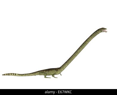 Dinosaurier Tanystropheus longobardicus / dinosaur Tanystropheus longobardicus Foto Stock