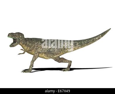 Dinosaurier Tyrannosaurus rex / dinosaur Tyrannosaurus rex Foto Stock