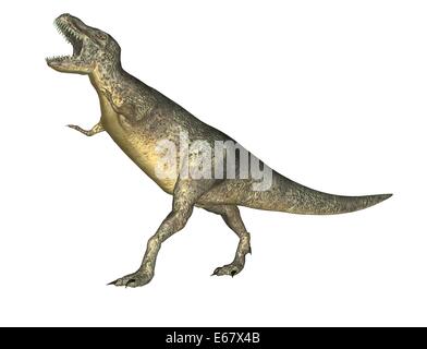 Dinosaurier Tyrannosaurus rex / dinosaur Tyrannosaurus rex Foto Stock