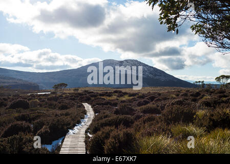 Overland Track, Tasmania, Australia Foto Stock