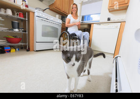 Donna con lesioni del midollo spinale nella sua cucina accessibile guardando un gatto Foto Stock