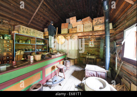 Interno a base di erbe Cinesi farmaco shop store nel centro storico di città della corsa all'oro Barkerville, British Columbia, Canada. Foto Stock