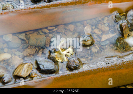 Oro pepite di data mining in pozzetti di sluice, Barkerville, British Columbia, Canada. Foto Stock
