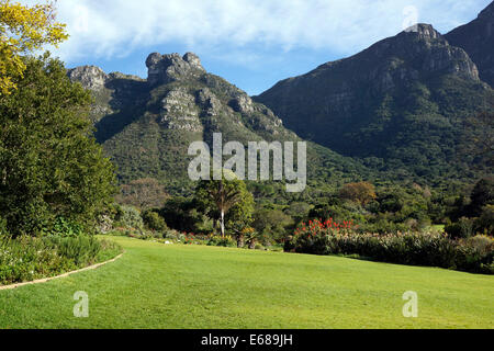 Kirstenbosch National Botanical Gardens,Cape Town, Sud Africa. Foto Stock