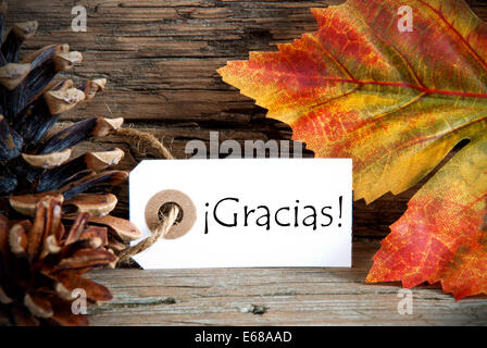 Un autunno Etichetta con la parola spagnola Gracias su di esso che significa grazie, cadono sullo sfondo Foto Stock