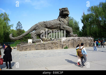 Allo Zoo di Pechino, Xicheng District, Cina Foto Stock