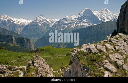 In prossimità della famosa Alpengarten Schynige Platte nell Oberland Bernese, Svizzera Foto Stock