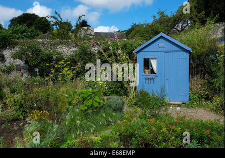 Dipinto di blu capannone nel giardino murato, Saint Valery sur Somme, Francia Foto Stock