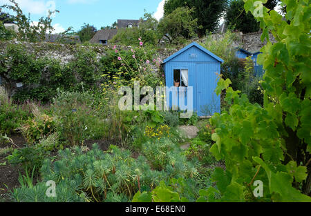 Dipinto di blu capannone nel giardino murato, Saint Valery sur Somme, Francia Foto Stock