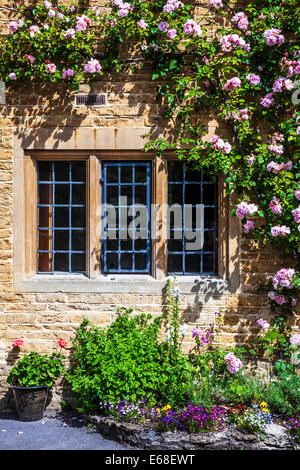 Cotswold cottage in pietra davanti con bifore con piombo, windows, rambling rose e un grazioso giardino anteriore. Foto Stock