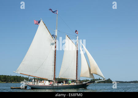 Isola di Fox Thorofare, ME - 11 agosto 2014. Il windjammer schooner Stephen Taber in Fox Isola Thorofare. Foto Stock