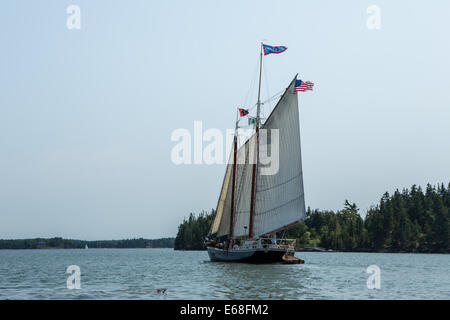 Isola di Fox Thorofare, ME - 11 agosto 2014. Il windjammer schooner Stephen Taber in Fox Isola Thorofare. Foto Stock