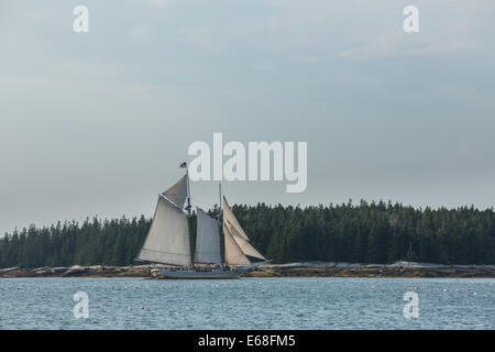 McGlathery Isola, ME - 11 agosto 2014. Il windjammer goletta a vela del patrimonio da McGlathery isola. Foto Stock